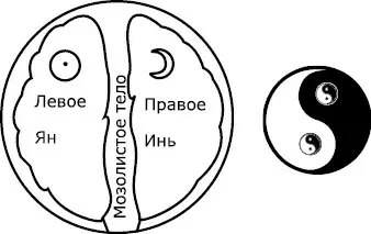 Вертикальная топография сознания Насколько поразному люди оценивают эти - фото 5