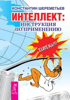 Константин Шереметьев - Интеллект: инструкция по применению