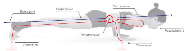 Сенсорный фокус Активация пресса выравнивание задней поверхности тела в одну - фото 27
