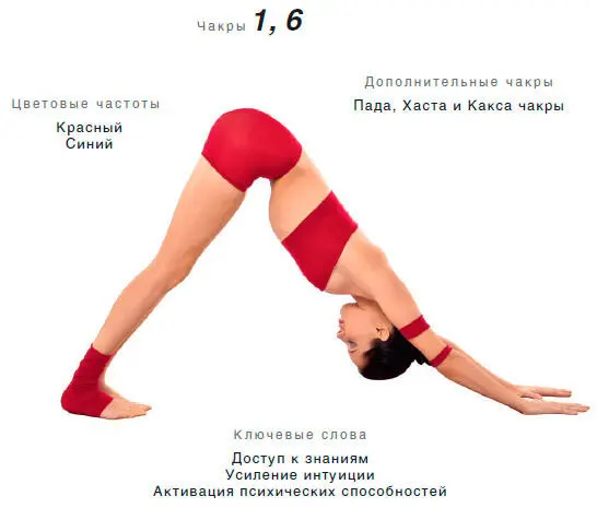 Энергетический эффект Переводит энергию из Земли и нижних энергетических - фото 32