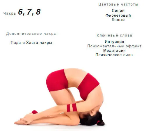 Энергетический эффект Одна из самых мощных асан для пробуждения Сахасрара - фото 82