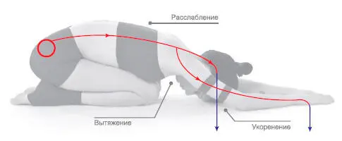 Сенсорный фокус Вытяжение спины рук боковых поверхностей тела и области - фото 91