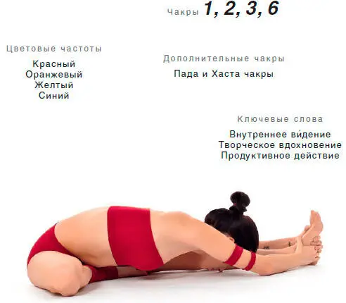 Энергетический эффект Замыкает Пада и Хаста чакры уравновешивая их между - фото 122