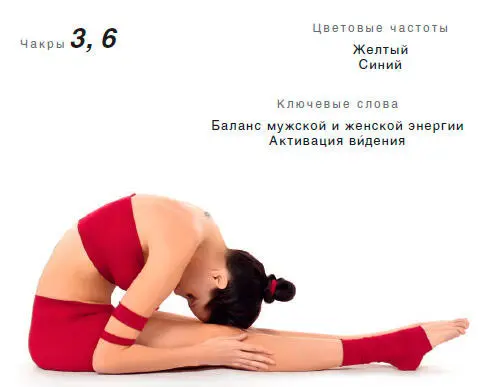 Энергетический эффект Очищает и наполняет задний энергетический канал - фото 124