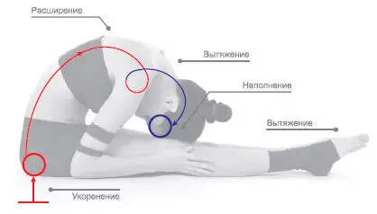 Сенсорный фокус Заземление таза вниз вытяжение округление и расширение - фото 125