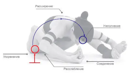 Энергетическая геометрия Тарасаны Сядьте в Дандасану Укорените таз в Землю - фото 133