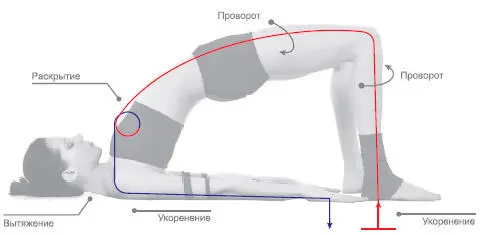 Сенсорный фокус Вытяжение и раскрытие передней поверхности тела на вдохе - фото 141