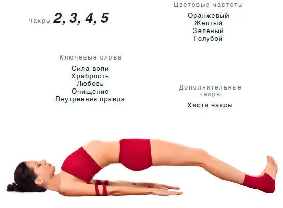 Энергетический эффект Угнетает работу Муладхара чакры за счет закрытой сжатой - фото 142