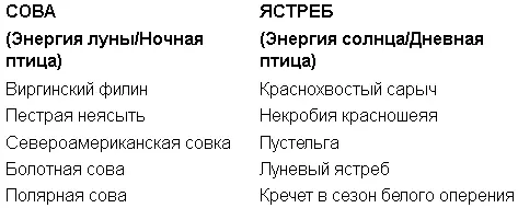 Первым видом сов который мы будем рассматривать является виргинский филин В - фото 62