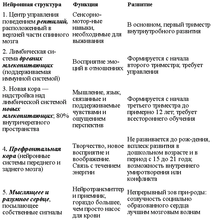 Последние данные исследований указывают на то что префронтальная кора - фото 14