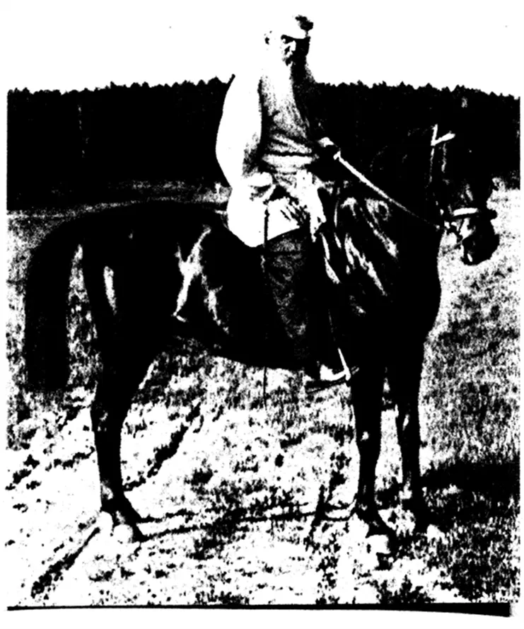 Л Н ТОЛСТОЙ В 1908 ГОДУ Фотографии К Булла ДНЕВНИКИ 19071908 гг - фото 4