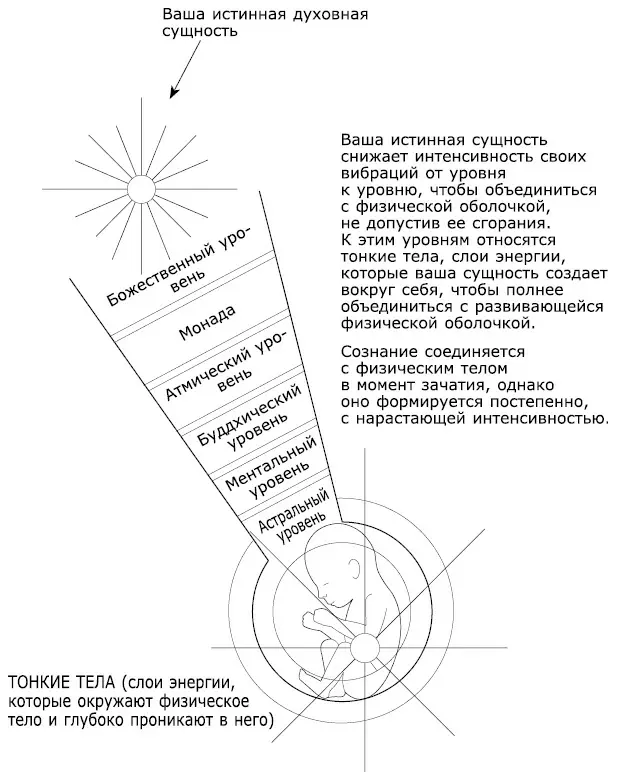 Рис 6 Тонкие тела входящие в состав ауры Излучения небесных светил как - фото 6
