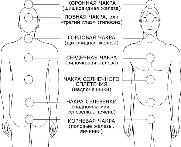 Рис 10 Система чакр Чакры связывают всю внутреннюю энергию а также - фото 10