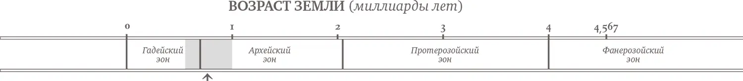 Глава 6 Живая Земля Происхождение жизни Возраст Земли от 500 млн до 1 млрд - фото 9