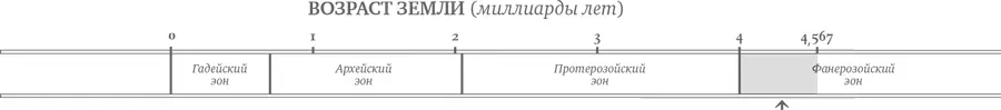 Глава 10 Зеленая Земля Развитие земной биосферы Возраст Земли от 4 до 45 - фото 13