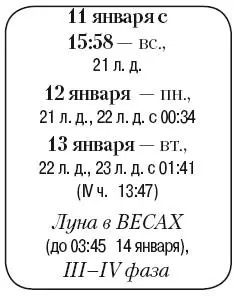 Что сделать Нужно проверить ветви деревьев на своем дачном участке возможно - фото 11