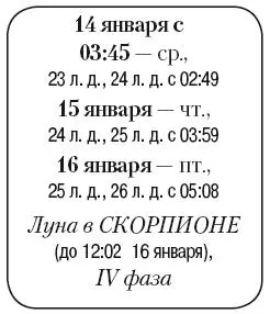 Что сделать Полить и подкормить органическими удобрениями комнатные растения - фото 12