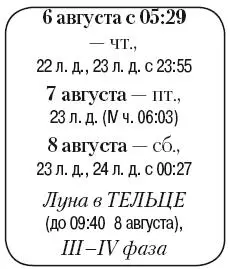 Что сделать Собрать урожай для долгого хранения семена и корнеплоды на - фото 127