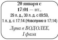 Что сделать Продолжить подготовку садового и огородного инвентаря к новому - фото 15