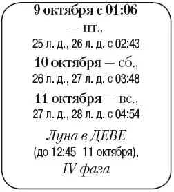 Что сделать Произвести подзимний посев однолетних холодостойких цветов а - фото 161