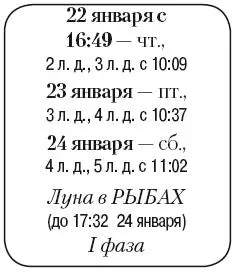 Что сделать Полить и подкормить минеральными удобрениями рассаду и комнатные - фото 17