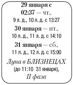 Что сделать Осмотреть клубни георгинов и клубнелуковиц гладиолусов - фото 20