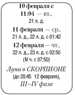 Что сделать Полить и осуществить внекорневые подкормки рассады и комнатных - фото 27