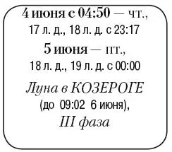 Что сделать Обильно полить листовые культуры умеренно луковичные и - фото 93