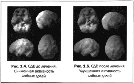 Гармоничная работа мозга основа ясного разума Вот письмо которое я недавно - фото 5