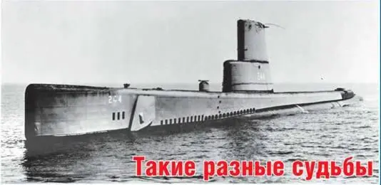 Владимир Щербаков Такие разные судьбы В отличие от ДЭПЛ Барбел судьба - фото 96