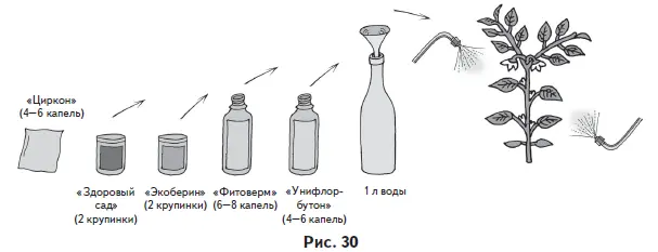 Особенности выращивания 1 Баклажаны в теплицах плохо завязывают плоды - фото 34