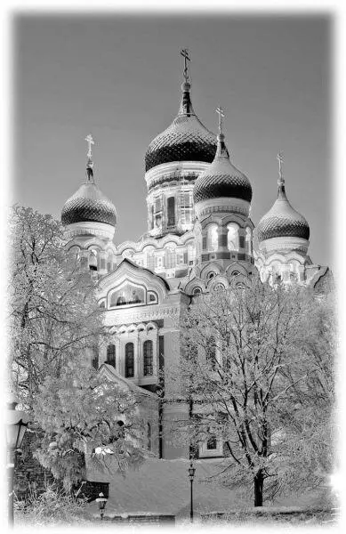 Собор Александра Невского в Таллине Фото В Барета Казалось бы Русь получила - фото 73