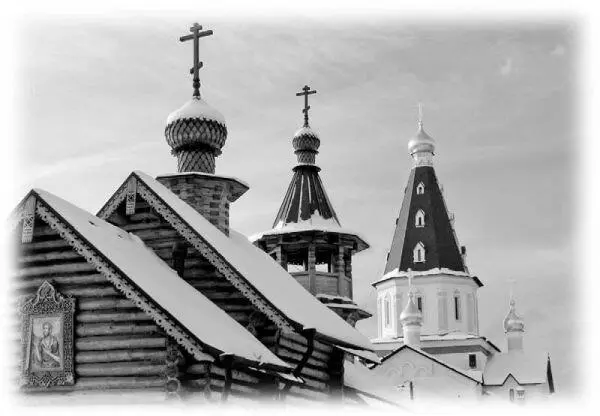 Храм в честь блаженной Ксении Петербургской Медвежьи Озера Московская область - фото 153