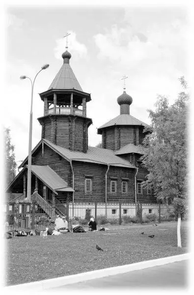 Церковь праведного Иоанна Кронштадского Жулебино Москва Фото А Савина - фото 180