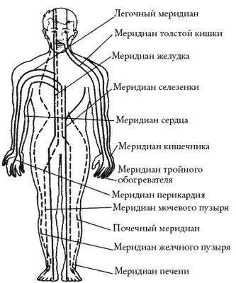 Рис 5 Энергетические каналы на теле человека Меридиан печени Основная - фото 5