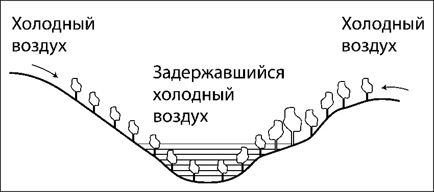 Рис 2 Скопление холодного воздуха в низине В каждой местности преобладают - фото 2