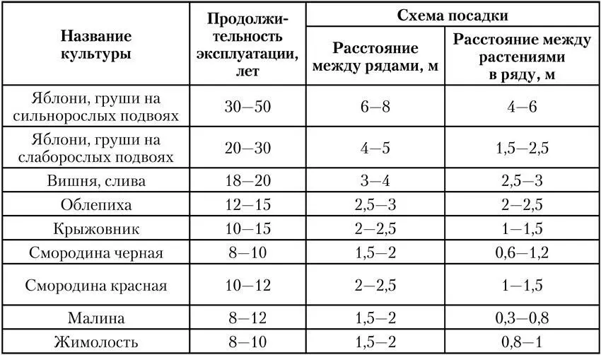 В саду с ландшафтным стилем растения размещают произвольно придерживаясь - фото 7