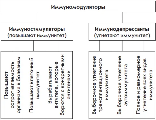 Рис 1 Виды иммуномодуляторов Первое из самых первых мест в процессе - фото 1