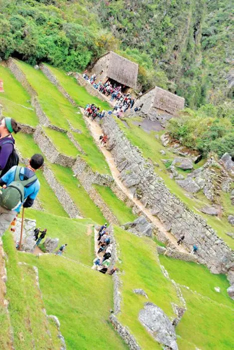 Террасы анденес в МачуПикчу для выращивания маиса и других культур Inka - фото 2