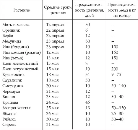 Из кустарников богатых пыльцой и нектаром первую продовольственную помощь - фото 113