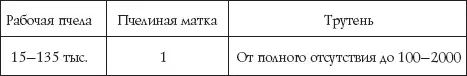 Сила семьи напрямую зависит от количества проживающих в ней пчел и проще всего - фото 29