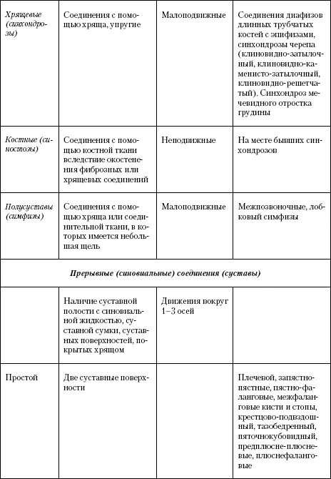 Суставные поверхности редко полностью соответствуют друг другу по форме Для - фото 29