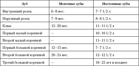 Железы рта Множество мелких желез расположено в слизистой оболочке - фото 52