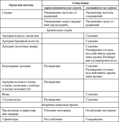 Осуществление функций нервной системы возможно благодаря функциональному - фото 99