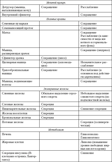 Осуществление функций нервной системы возможно благодаря функциональному - фото 100