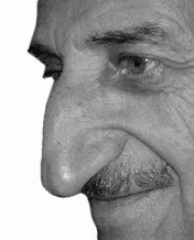 Если нос с горбинкой крупный мясистый и округлый на конце вы имеете дело с - фото 31