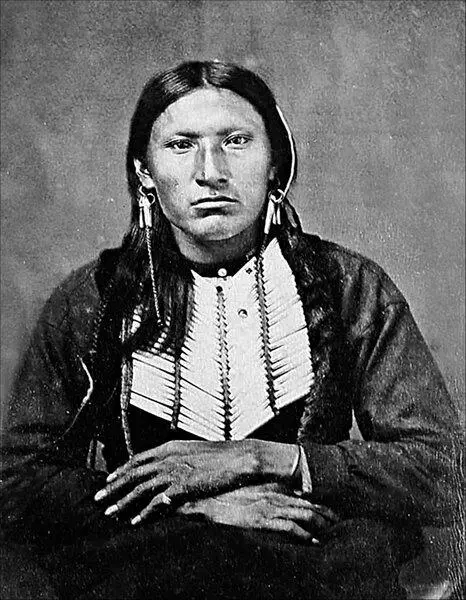 Черная Звезда лидер команчей Зимой 187172 г команчи оставались спокойны и - фото 72