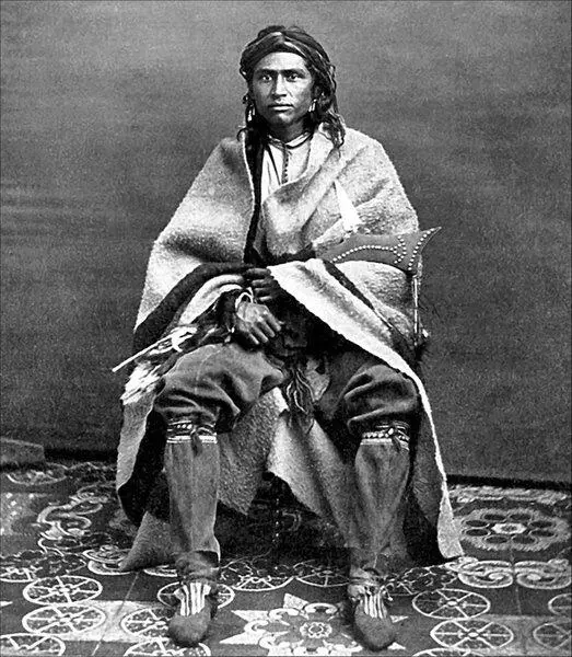Воин сантисиу 11 апреля 1864 г в военный пост КэмпСанборн пришел владелец - фото 98