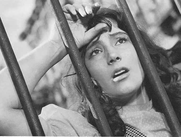 Художественный фильм Летят журавли 1957 г Режиссер М Калатозов Вероника - фото 42