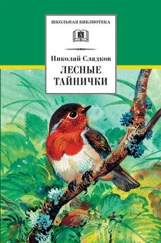 Николай Сладков - Лесные тайнички (сборник)